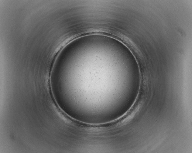 X0000113880985200910081743