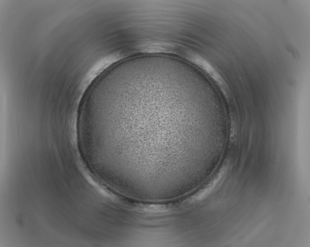 X0000113880986200910081743