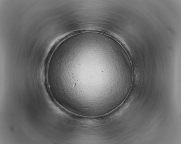 X0000113880987200910081743