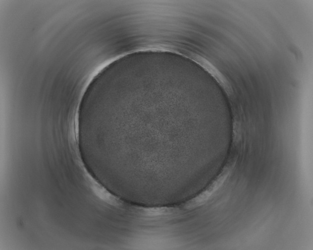 X0000113880988200910081743