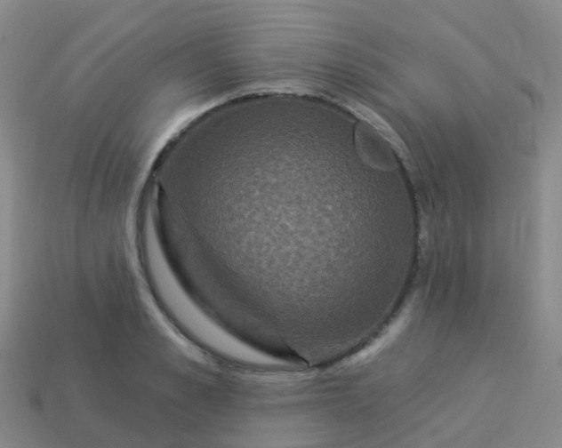 X0000113880989200910081743