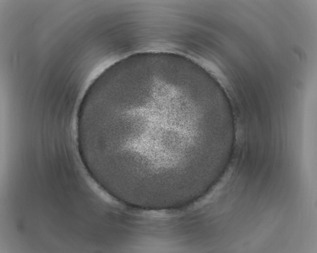 X0000113880990200910081743