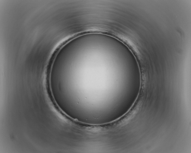 X0000113880991200910081743