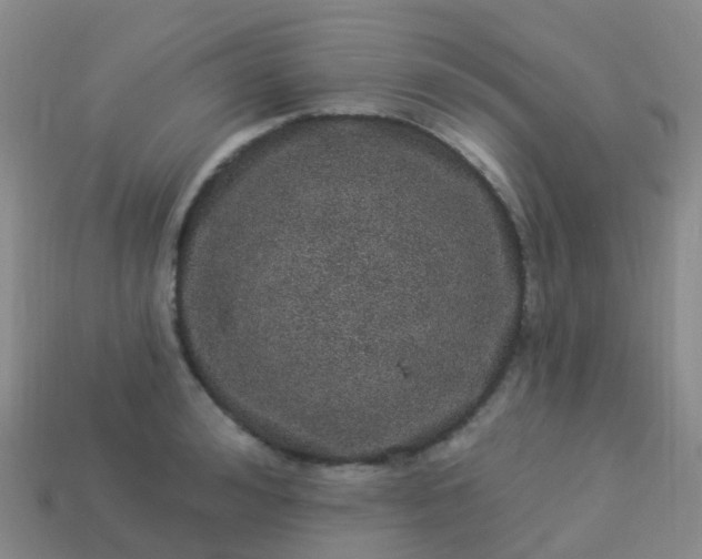 X0000113880992200910081743