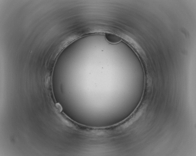 X0000113880993200910081743