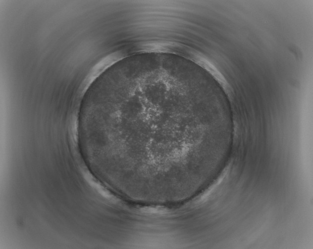 X0000113880994200910081743