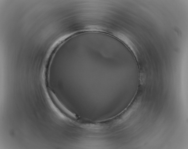 X0000113880995200910081743