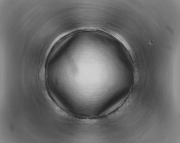 X0000113880996200910081743