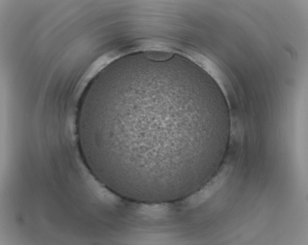 X0000113880997200910081743