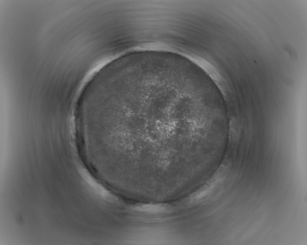 X0000113880998200910081743