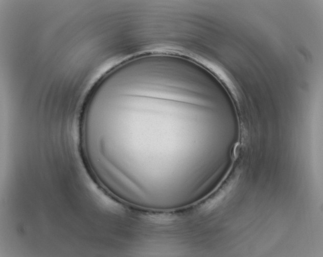 X0000113880999200910081743