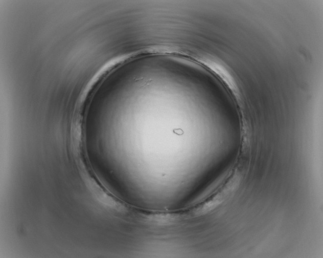 X0000113881000200910081743