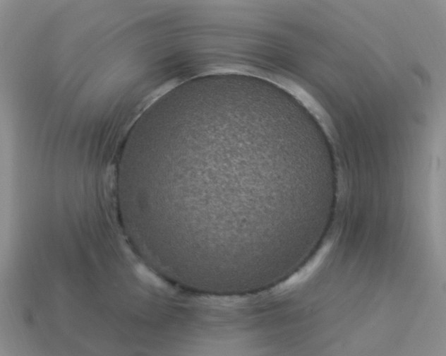 X0000113881001200910081743