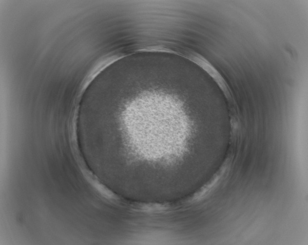 X0000113881002200910081743