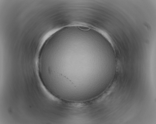 X0000113881003200910081743