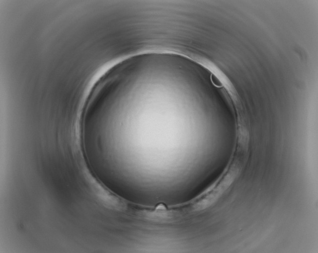 X0000113881004200910081743