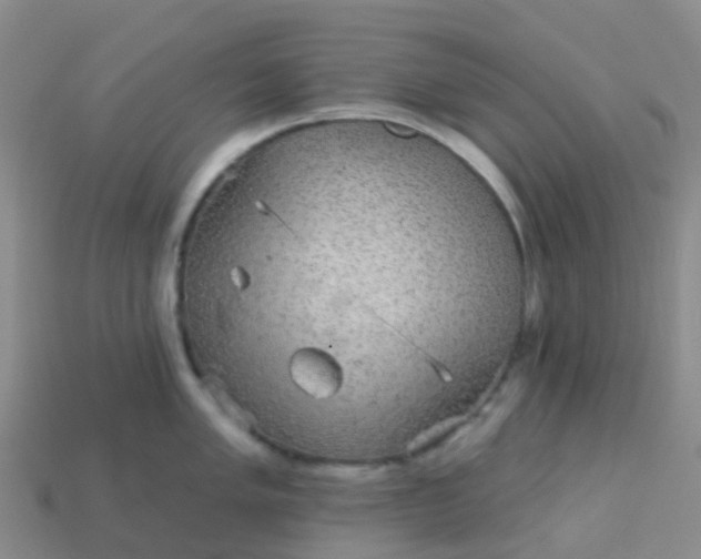 X0000113881005200910081743