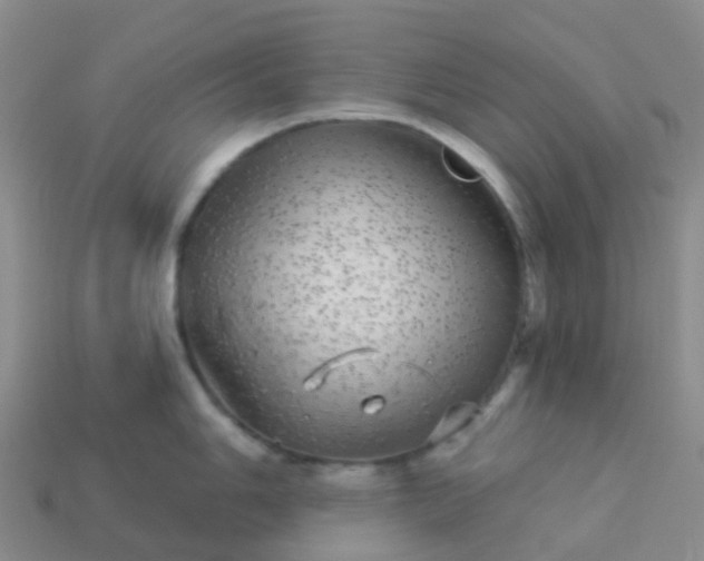 X0000113881006200910081743