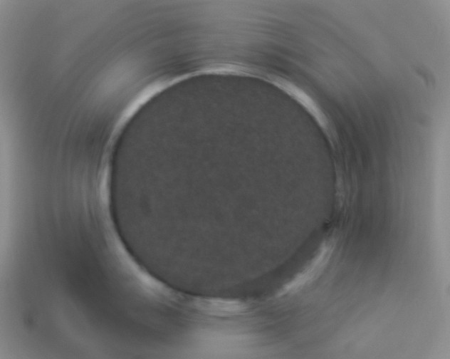 X0000113881007200910081743