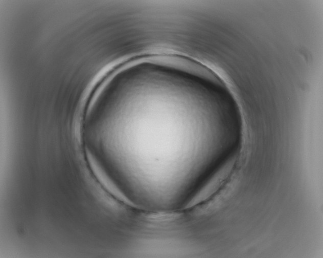 X0000113881008200910081743