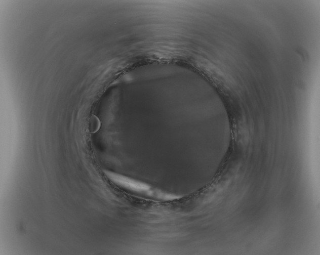 X0000113881009200910081742