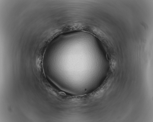 X0000113881010200910081742