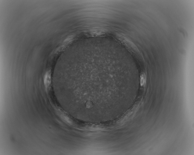 X0000113881011200910081742