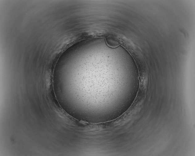 X0000113881012200910081742