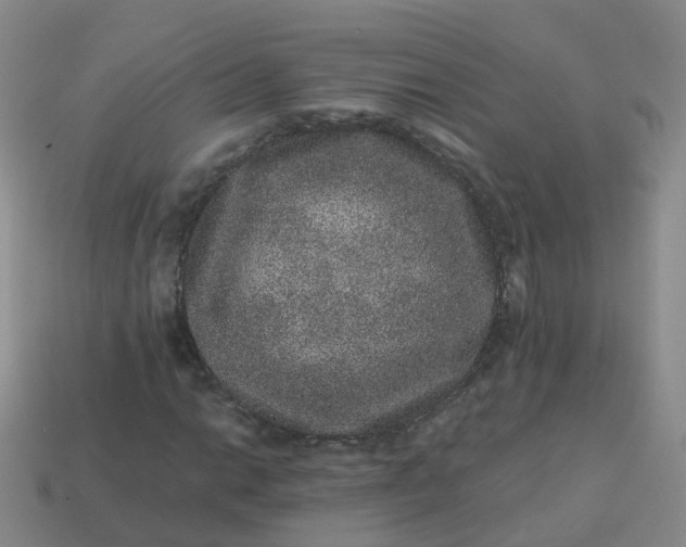 X0000113881014200910081742