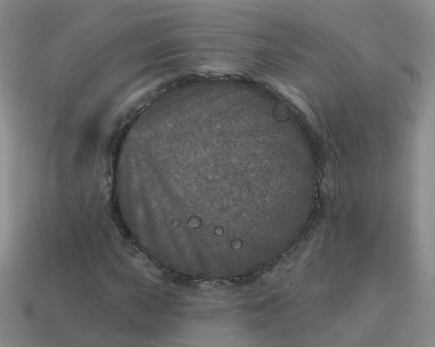 X0000113881015200910081742