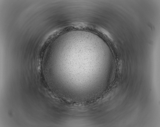 X0000113881016200910081742