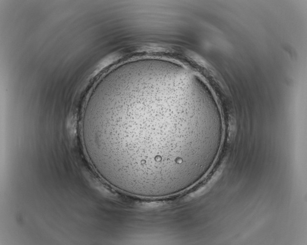 X0000113881017200910081742