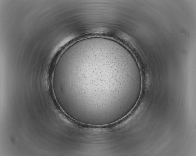 X0000113881018200910081742