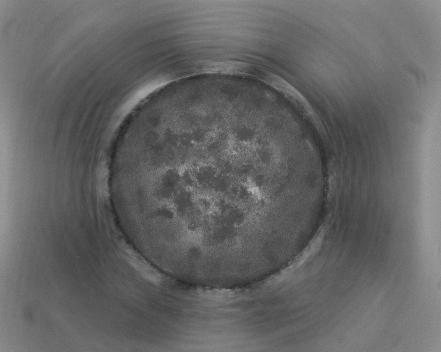 X0000113881019200910081742