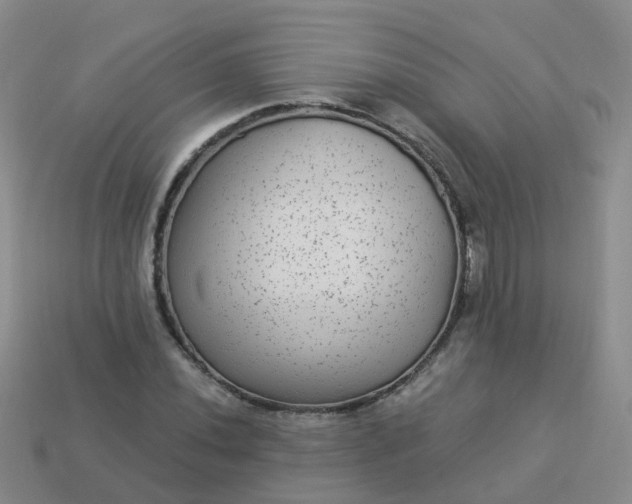 X0000113881020200910081742