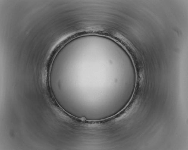 X0000113881021200910081742