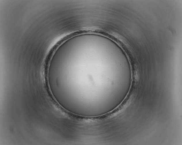 X0000113881022200910081742