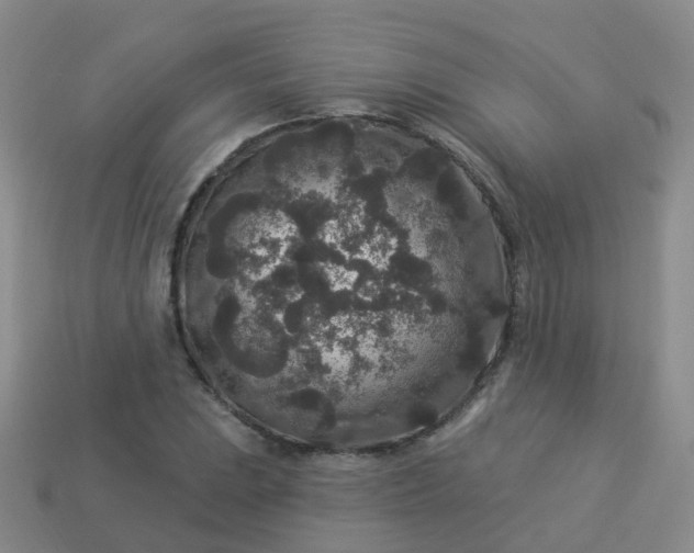 X0000113881023200910081742