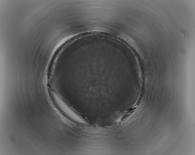 X0000113881024200910081742