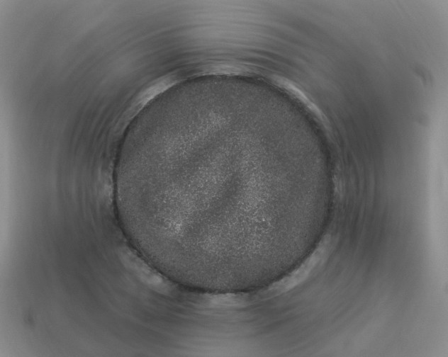 X0000113881025200910081742