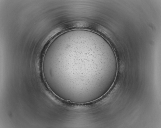 X0000113881026200910081742