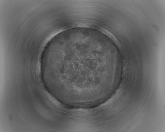 X0000113881027200910081742