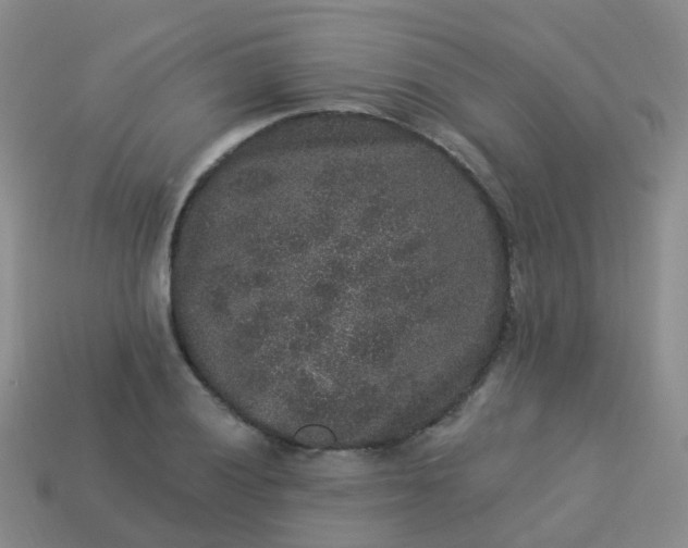 X0000113881028200910081742