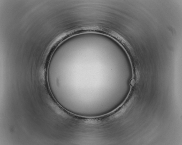 X0000113881029200910081742