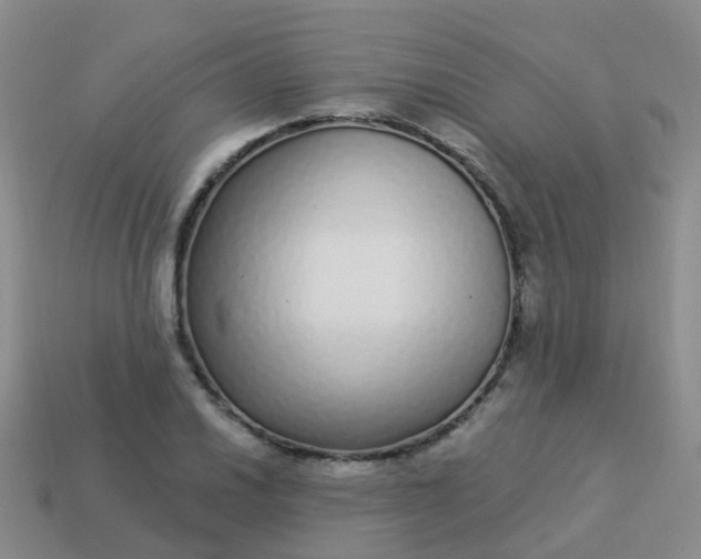 X0000113881030200910081742