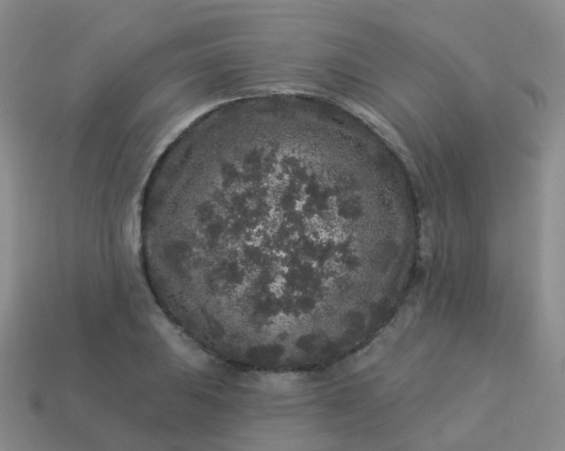 X0000113881031200910081742