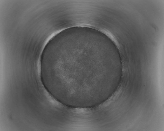 X0000113881032200910081742