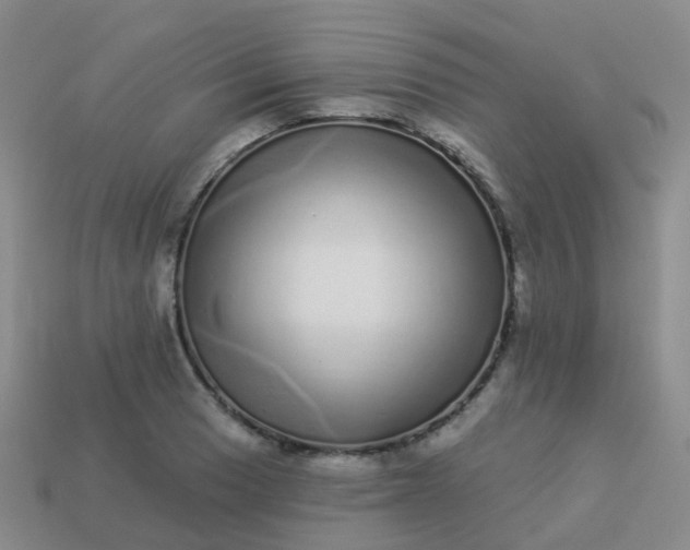 X0000113881033200910081742