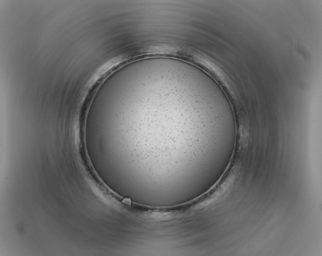 X0000113881034200910081742