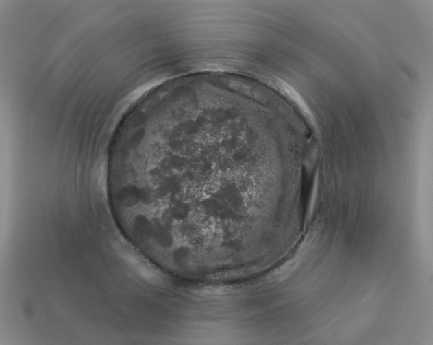 X0000113881035200910081742